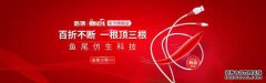 全国人大代表访问南孚，为国际化进程提供建议