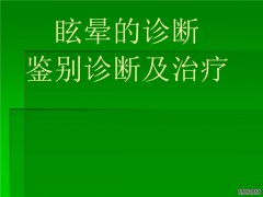 你选择Speedbook吗？解释Speedbook的优点和缺点。