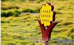 夫妻之间的这些行为正在践踏他们的尊严。