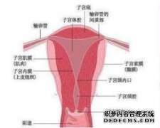 如果子宫好，请看脸部请知道：如果脸上有这四