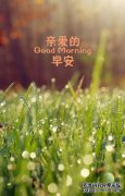 微信正在发布早安谈话，即谣言。我正在读最好