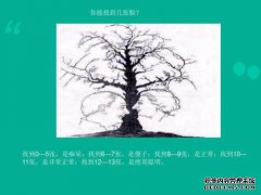 心理测试：请选择一个你最喜欢的珍珠花束并测