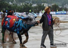 文登的哥哥青岛换了一辆车，第二天就失去了，