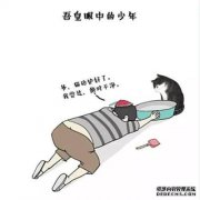 有整个饼干块吃它吃。小铁锹和非官员只为他们