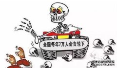 测验：旧司机的一些表现。您想确认您是否是原