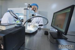 算上六位致力于自然的中国科学家，“研究基因