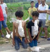 虽然电影没有变化，但从村民到“最丑陋的明星