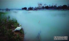 您可以在幽游湖看到渭河大桥的两座桥。