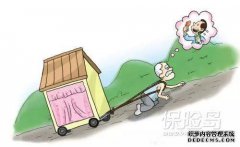 保险岛上有哪些服务？