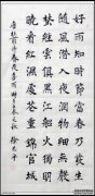 当我出生时，天黑了，我惊呆了。整首诗的翻译