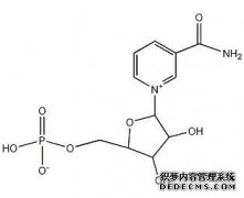 烟酰胺单核苷酸的生物功效