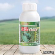 什么样的叶面肥可以用于长而厚的洋葱和叶面肥