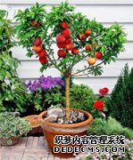 如何使皮肤白皙和小突起