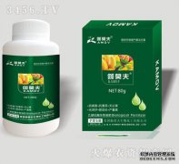 使用叶桉芒果和强花来保持水果和技术的使用。