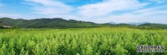 南阳市亿家康爱业有限公司怎么样？