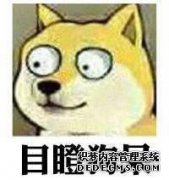 儿子的儿子是什么？他的遭遇使人们大笑又哭泣