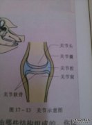 什么是包包？包是怎么到达的？