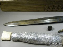 [昆虫网的昆虫]