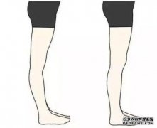 小腿混蛋怎么样？