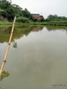 [关于钓鱼]哈凹鱼塘钓鱼