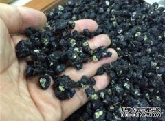 [母乳喂养时您可以吃黑皮吗？]