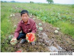 为什么有一个叫干枣或犁的地方，为什么有瓜或