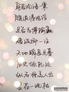[唯一有形的小米]