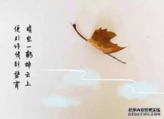 [诗是寂寞的]