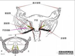 RV阳性是什么意思？怎么治疗？阴道冲洗