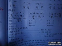 含义，来源，同义词和反义词