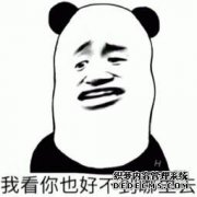 [尝试一条临时鳄鱼]