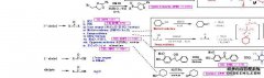 py对化学家意味着什么？（组是）