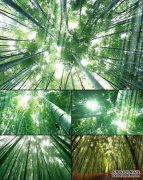 [青山秀武]