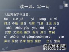 内是什么意思？