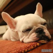 但是，对手提起了民事诉讼。可以忽略吗？如果