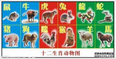 在你的心中歌唱的十二生肖中有哪些动物？