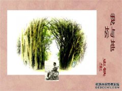 为耐心祈祷，为喜悦，苦难和耐心而祈祷，并从