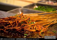 [鱿鱼的热量]