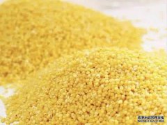 使用这种类型的材料，您可以不用面粉或烤箱就