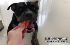 人们是什么意思说你有白领？
