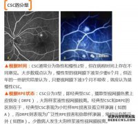 你有多少人？