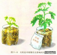 废水处理中有机磷和无机磷的含义是什么？